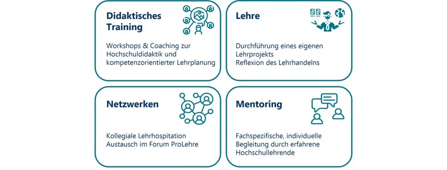 4 Kacheln mit der Beschreibung der vier Komponenten des Teaching Professioanls Programm: Didaktisches Training, Lehre, Netzwerken und Mentoring.
