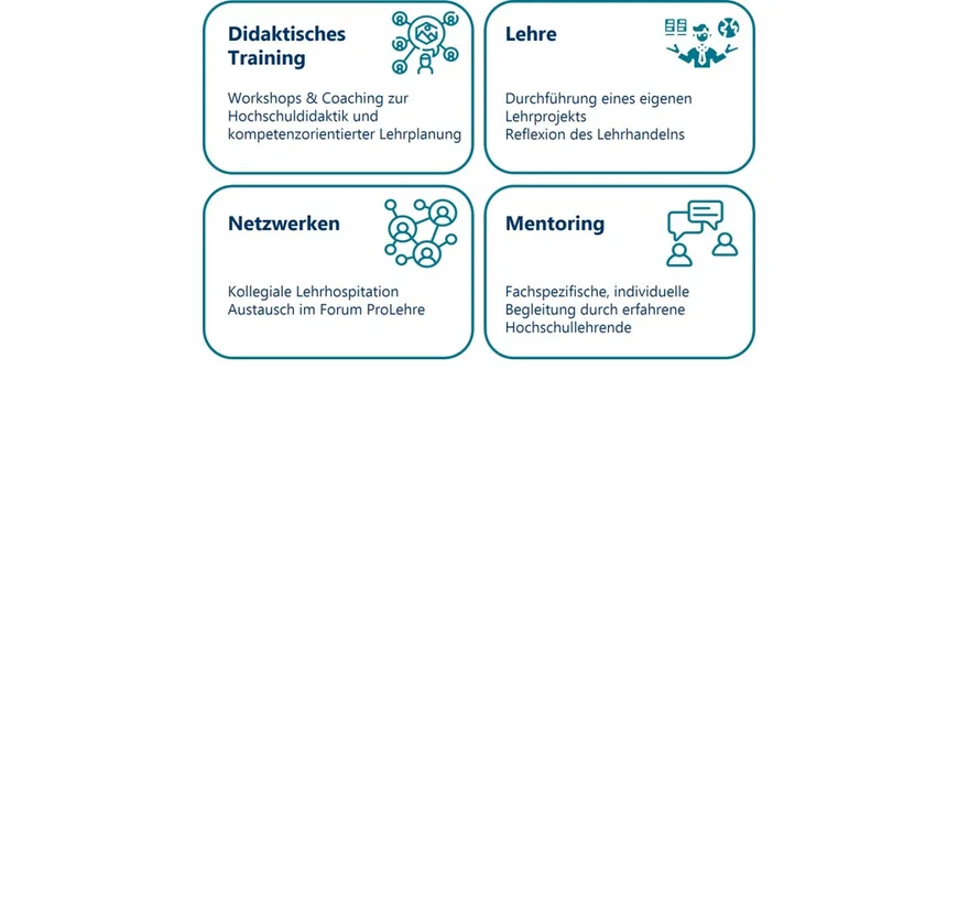 4 Kacheln mit der Beschreibung der vier Komponenten des Teaching Professioanls Programm: Didaktisches Training, Lehre, Netzwerken und Mentoring.
