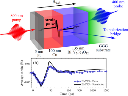 Sketch of multilayer sample where laser pulses excite and probe the triggered lattice and magnetization dynamics