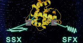 A systematic comparison shows that serial synchrotron crystallography (SSX) and serial femtosecond crystallography (SFX) can yield data of equivalent quality. This opens new collaborative opportunities exploiting the advantages of both light sources to study biomolecular dynamics. | Image credit: Jörg Harms (MPSD)