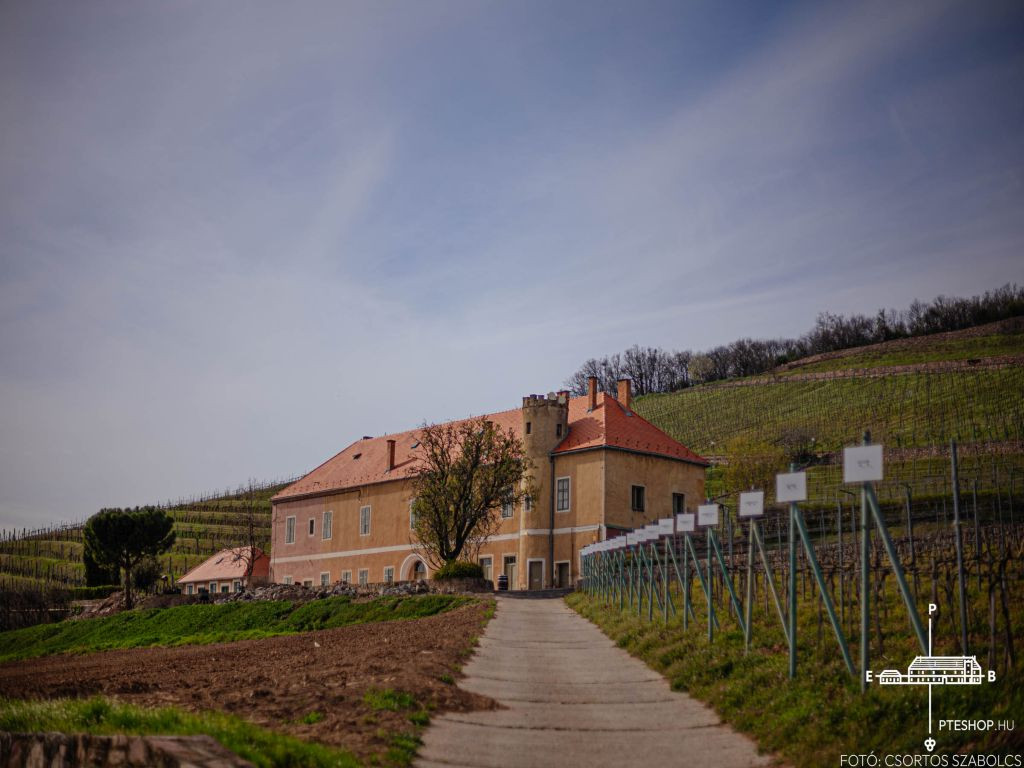 Auf dem Bild sieht man das Weingut der Uni Pécs. Das Foto stammt von Csortos Szabolcs.