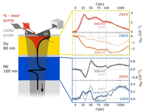 Sketch of Emission of coherent THz magnons in an antiferromagnetic insulator triggered by ultrafast spin–phonon interactions