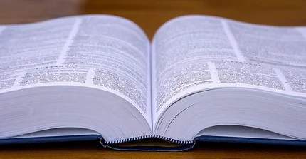 Das Bild zeigt ein offenes Buch