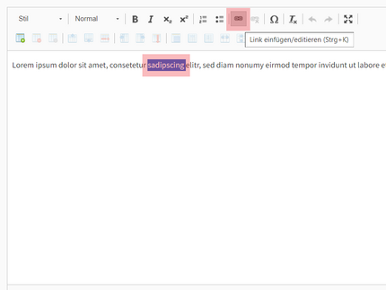 Erzeugen einer Verlinkung über den Texteditor