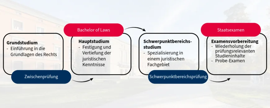 Studienverlauf Rechtswissenschaften mit Bachelor