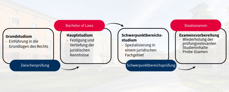 Studienverlauf Rechtswissenschaften mit Bachelor