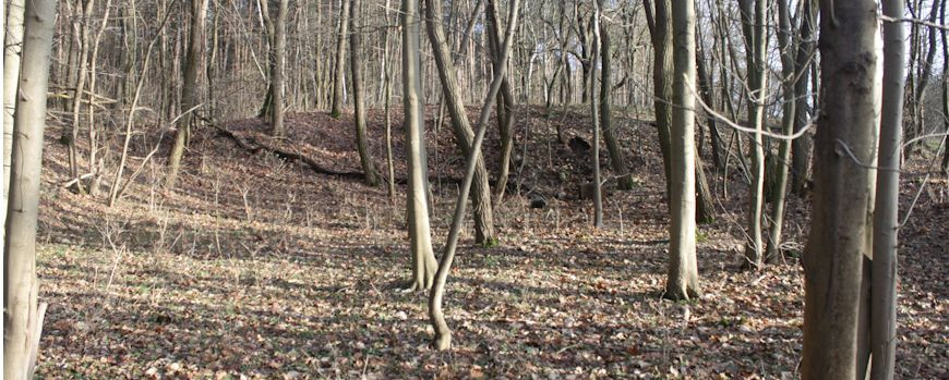 Blick auf den Jüdischen Friedhof in Rzepin