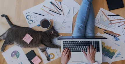 Sinnbild für Homeoffice - Mensch mit Laptop auf dem Boden sitzend, überall Zettel, selbst auf der Katze (links liegend)
