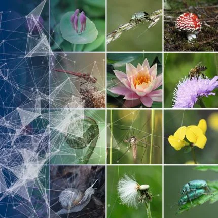 Forschungsschwerpunkt Evolutionary Systems Biology