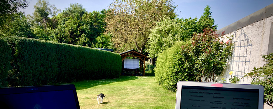 Über einen Tisch, auf dem 2 Laptop, Dokumente und ein Teller mit Essen stehen hinwegfotografiert in einen Garten. Eine Katze läuft über den Rasen auf den Tisch zu