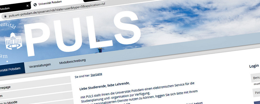 Screenshot of the PULS homepage