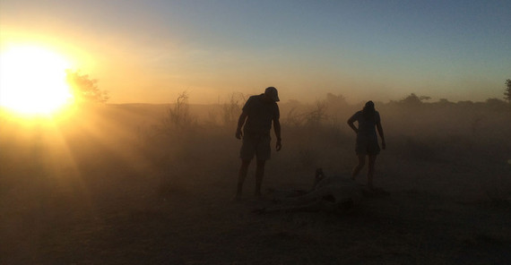 Dust storm during the dry season | Photo: Dr. Niels Blaum