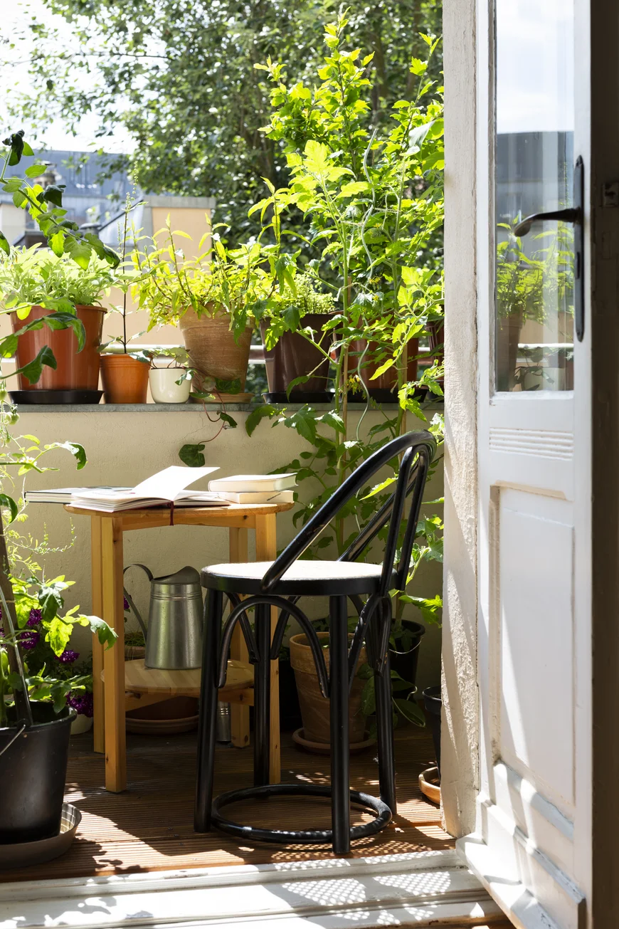 Balkon mit Tisch mit Büchern, Stuhl und sehr vielen Planzen