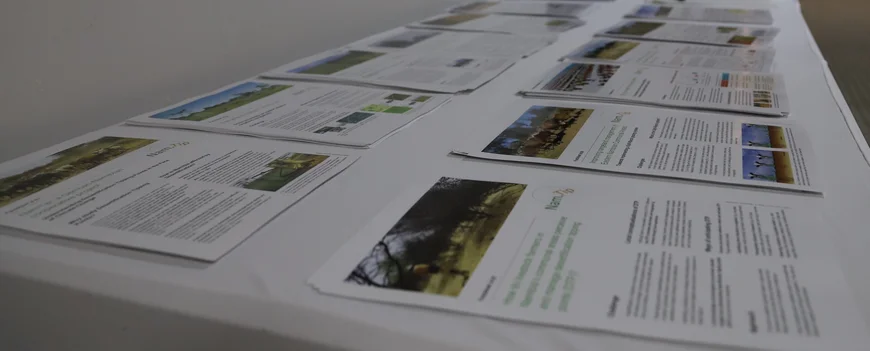 Collection of 12 printed leaflets on a table with white cloth