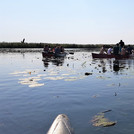 Studierende erkunden Altarme im Nationalpark Unteres Odertal mit dem Kanu, Exkursion Landschaftsmanagement (2020).