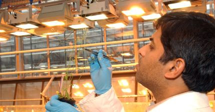 Students in a laboratory