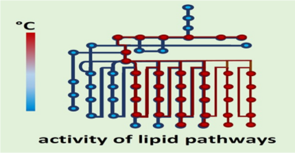 Plasticity of lipid metabolism