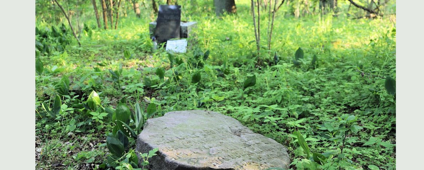 Fragmente des Jüdischen Friedhofs in Lipiany