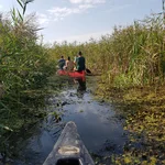 Studierende erkunden Altarme im Nationalpark Unteres Odertal - Exkursion "Angewandtes Landschaftsmanagement" (2020).