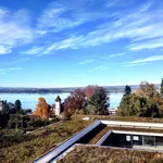 Blick vom Hautgebäude der Pädagogischen Hochschule Zug, Schweiz, auf den Zugersee