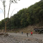 Between Mayschoß and Rech: tree with high-water marks