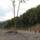 Between Mayschoß and Rech: tree with high-water marks