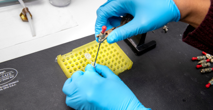 Hände in blauen Gummihandschuhen bei Forschung aus dem Forschungslabor „Optische Zell-Diagnose und –Manipulation“ (OptiZeD) der Universität Potsdam