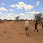 3 people walking on a very dry rangeland