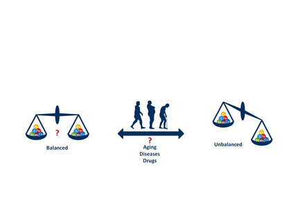 Balance of Trace Elements