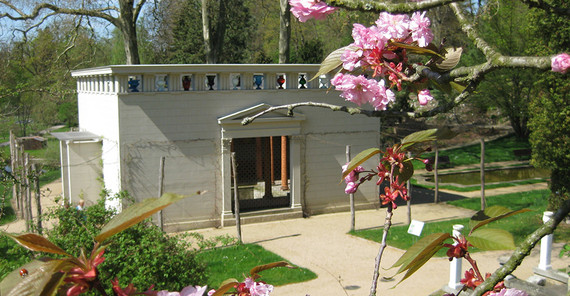 Der Paradiesgarten mit Stibadium im Frühling. | Foto: Kerstin Kläring