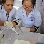 Pipetting the standards into the microplate