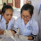 Pipetting the standards into the microplate