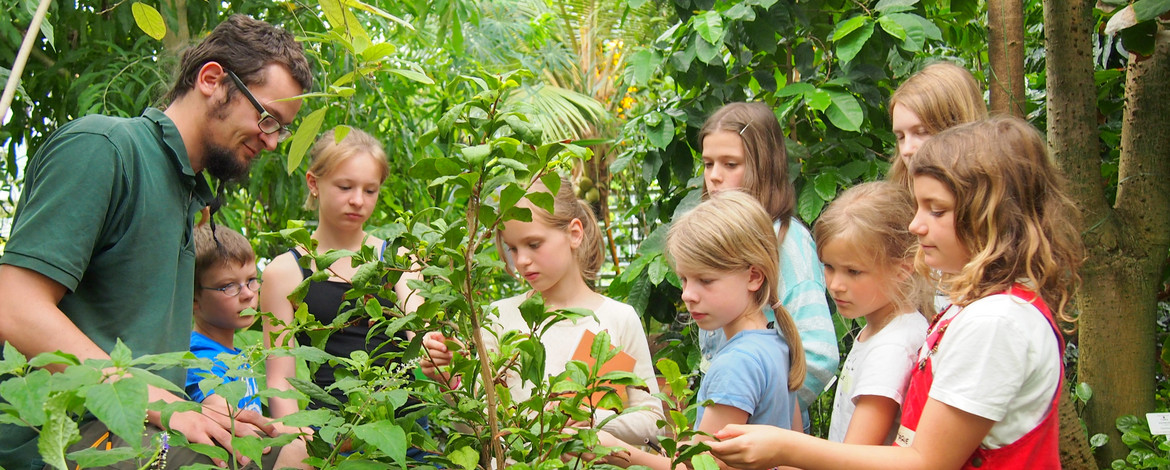 Steffen Ramm erklärt einer Kindergruppe eine Pflanzen - Link: Grüzi