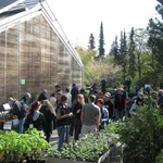 Basar im Botanischen Garten