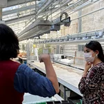 work in the greenhouse