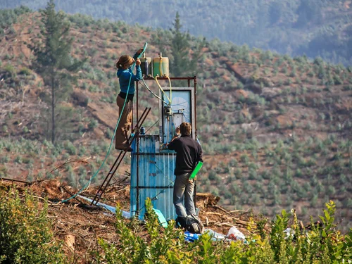 Beregnungsversuch auf einer abgeholzten Waldfläche in der Region Biobío (Chile).