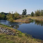 Renaturierte Spree.