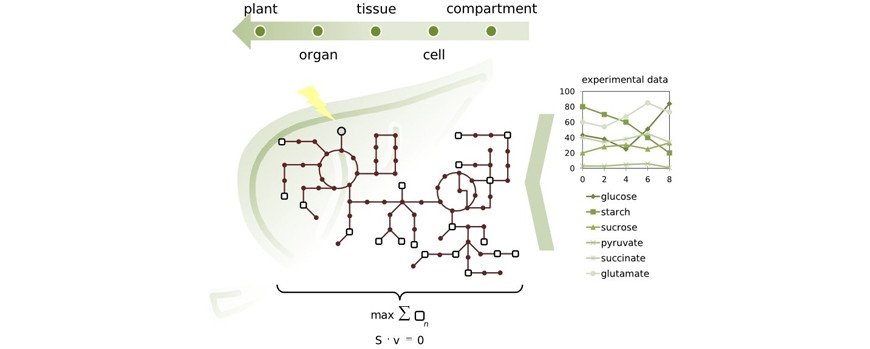 Grafik aus der Bioinformatik