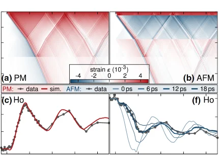 Spatiotemporal lattice dynamics in Holmium and corresponding transient Bragg peak shifts in its paramagnetic and antiferromagnetic phases
