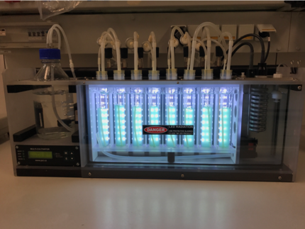 Multicultivator for tightly controlled enviromental condtions while growing cyanobacteria