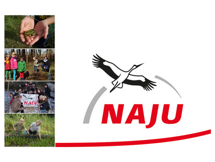 Naturaufnahmen und Logo bestehend aus Storch auf weißem Hintergrund