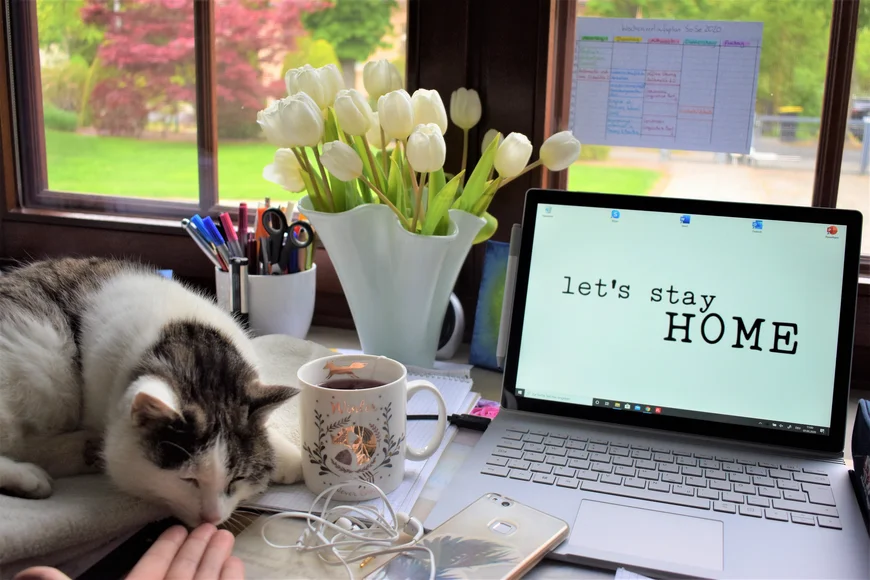 LAptop auf SChreibtisch, auf dem Laptop steht "Let's stay home". Daneben schläft eine kleine Katze