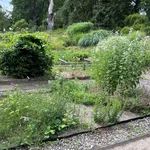 the model bed with plants