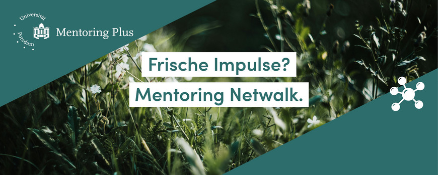 Mentoring Netwalk