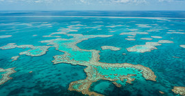 Das Great Barrier Reef.