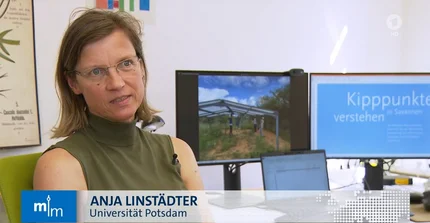 Prof. Anja Linstädter interviewed by ARD Television
