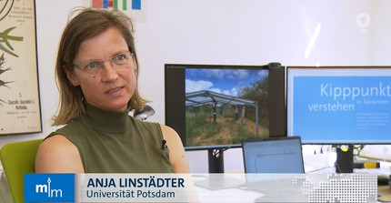 Prof. Anja Linstädter interviewed by ARD Television