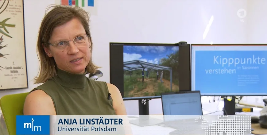 Prof. Anja Linstädter interviewed by ARD Television