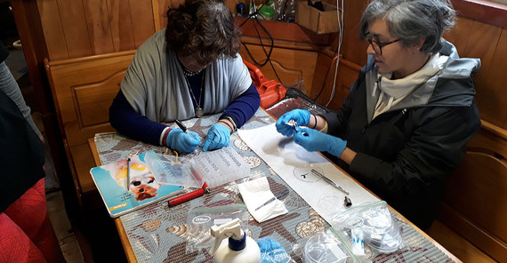 Microbiologists from the University of Mexico City process samples aboard a ship.