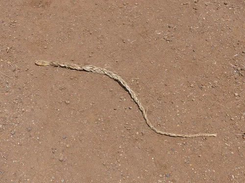 A simple knit woven from Sansevieria fibers. Taken in 2021 in northern Tanzania.